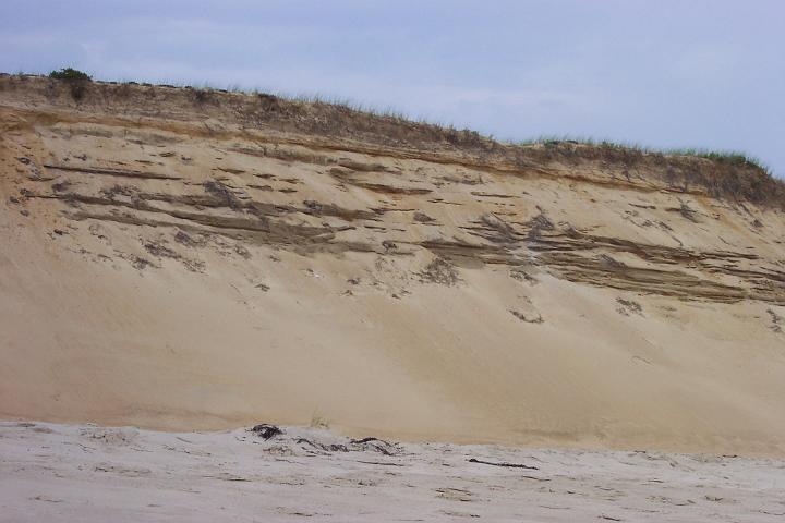 Atlantic ocean  Cape cod 047.jpg